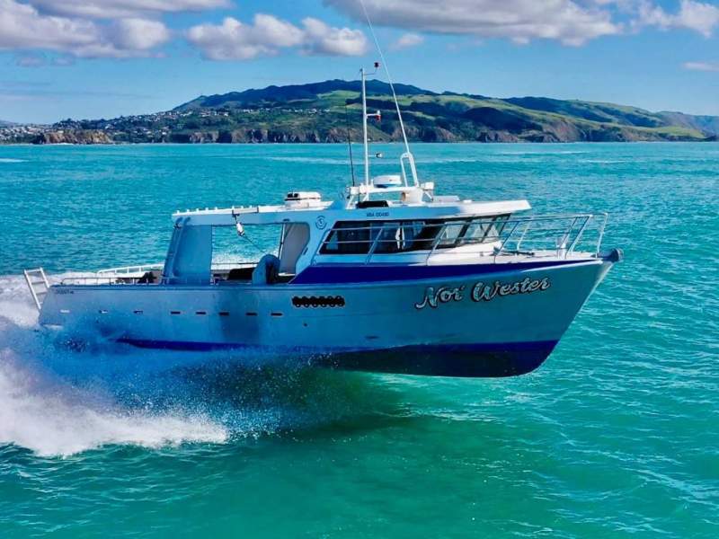 Legend Boats 46 Twin Jet Cray & Passenger Vessel - In Survey