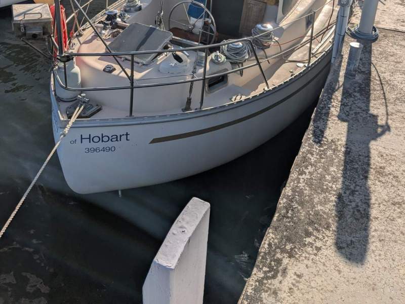 Swanson 38 Comfort