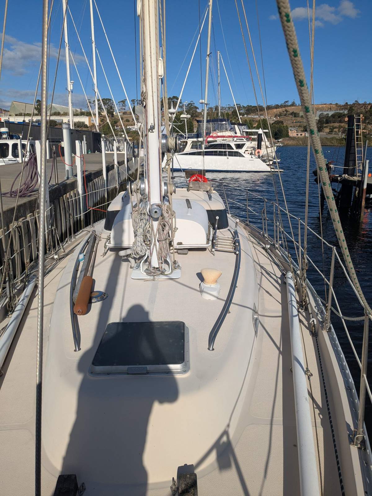 Swanson 38