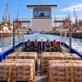 Stalwart Marine Landing Craft 15500m Work Boat Barge