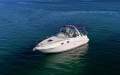 Sea Ray 260 Sundancer