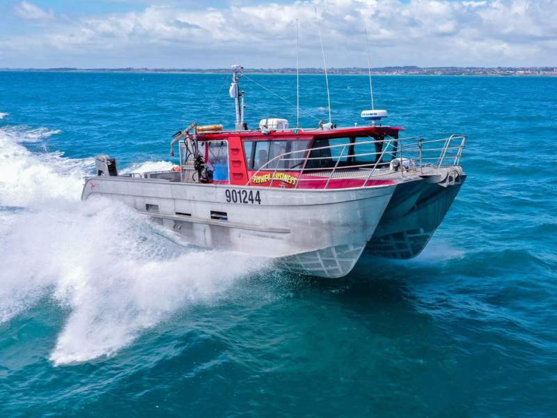 Blade Runner 14m Hydrofoil Catamaran - MNZ survey