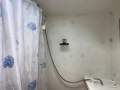Randell 41 Mk II Flybridge Sports Fisher " DUAL HELM, DUAL SHAFT DIESELS ":Bathroom Shower