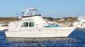Randell 41 Mk II Flybridge Sports Fisher " DUAL HELM, DUAL SHAFT DIESELS ":RANDELL 42 mk2 by YACHTSWEST ph 9335 7788