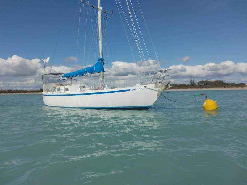 Halvorsen Freya 42 Cruising Yacht