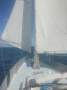 Halvorsen Freya 42 Cruising Yacht