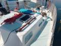 Halvorsen Freya 42 Cruising Yacht
