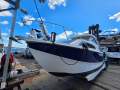 Bayliner 246 Discovery
