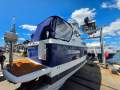 Bayliner 246 Discovery