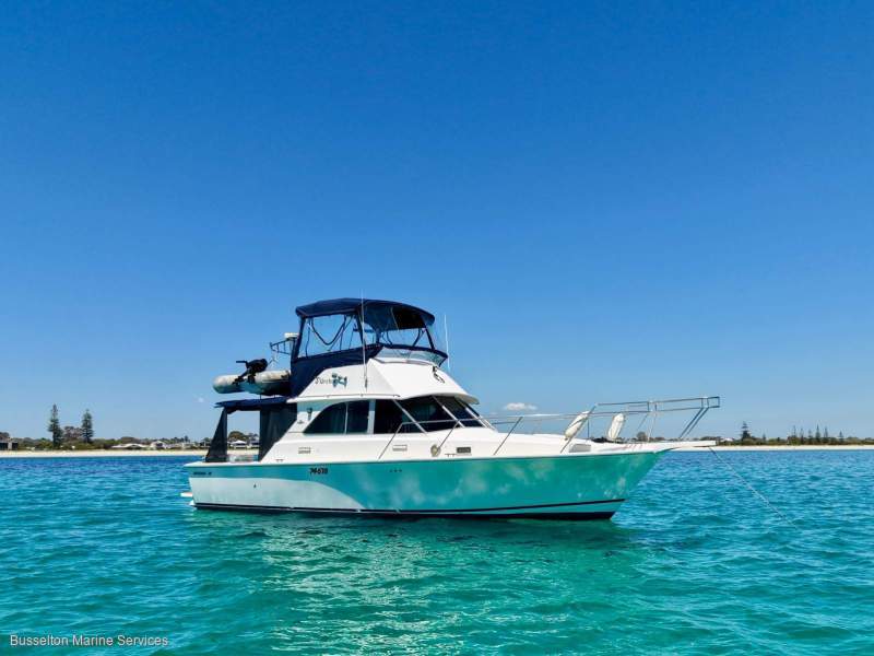 Bertram 35 Flybridge
