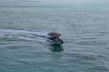 Sealegs 9m Hydrasol RIB Amphibious RIB - AMSA 2C survey to 2029