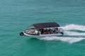 Sealegs 9m Hydrasol RIB Amphibious RIB - AMSA 2C survey to 2029
