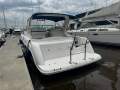 Mustang 3800 Sportscruiser