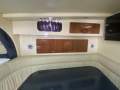 Mustang 3800 Sportscruiser