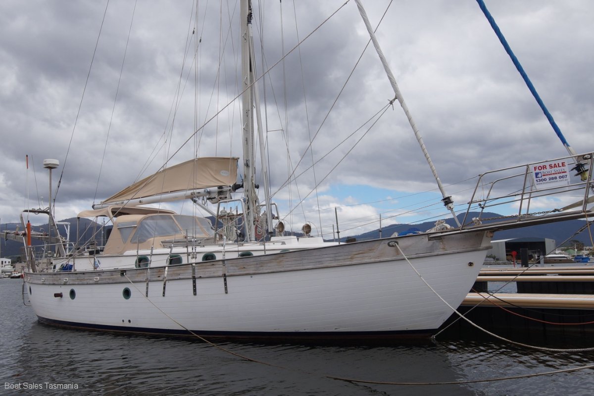 young 43 yacht for sale