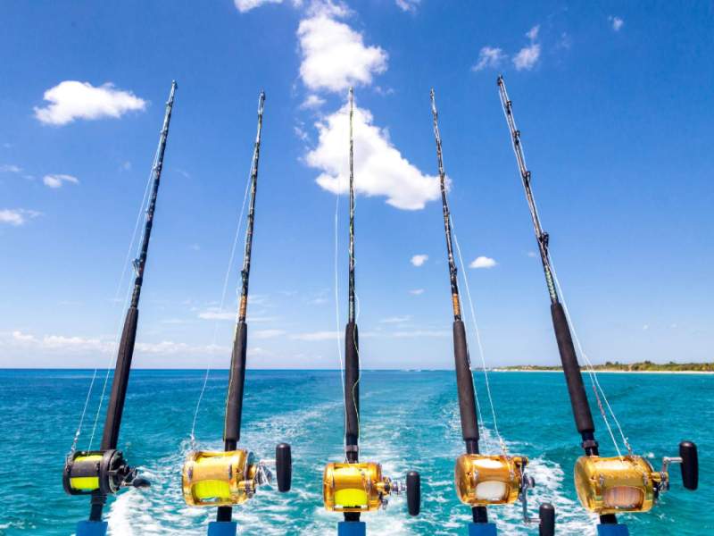 Fishing Licences And Permits In Australia: A State-by-State Guide