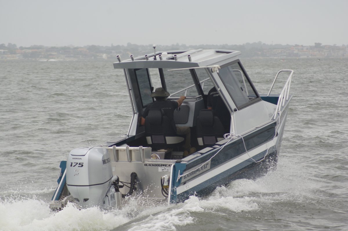 Blackdog Cat 6 30 Walkthrough Boat Reviews Yachthub
