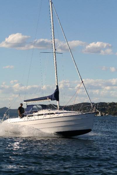 Imexus 28