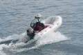 Tiger Marine Tender 280