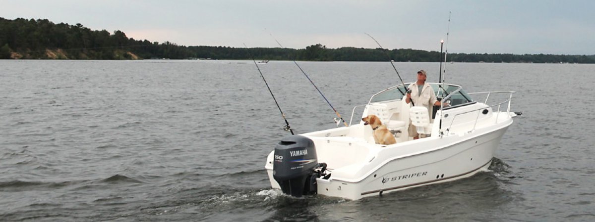 Seaswirl Striper 2101 WA