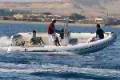 Tiger Marine Proline 550