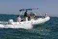 Tiger Marine Proline 550