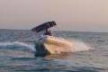 Tiger Marine Proline 550