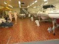 Tiger Marine Proline 550