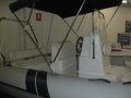 Tiger Marine Proline 550