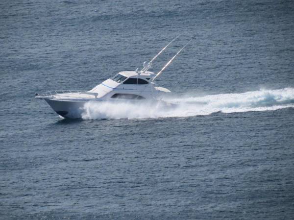 Bertram 630 Enclosed Bridge