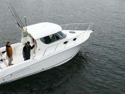 Seaswirl Striper 2901 WA
