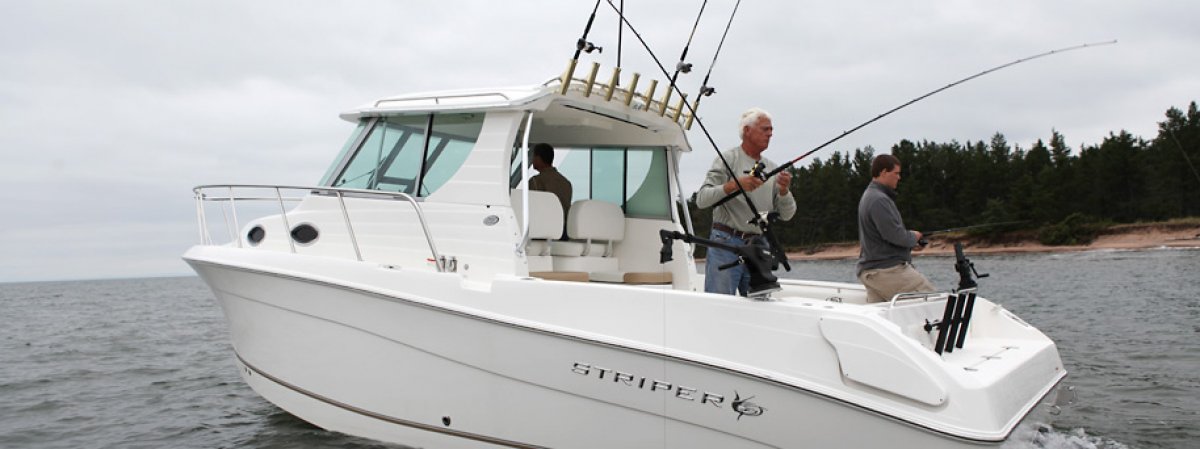 Seaswirl Striper 2901 WA