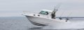 Seaswirl Striper 2901 WA