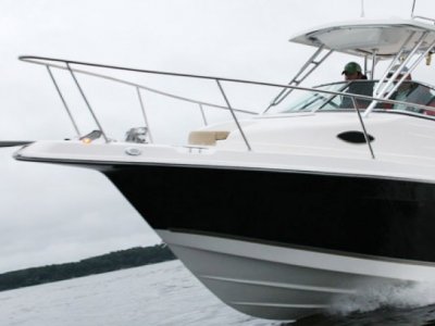 Seaswirl Striper 2301 Wa