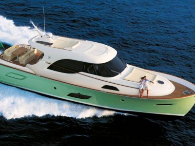 Mochi Craft Dolphin 64