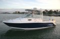 Robalo R 265 Walkaround