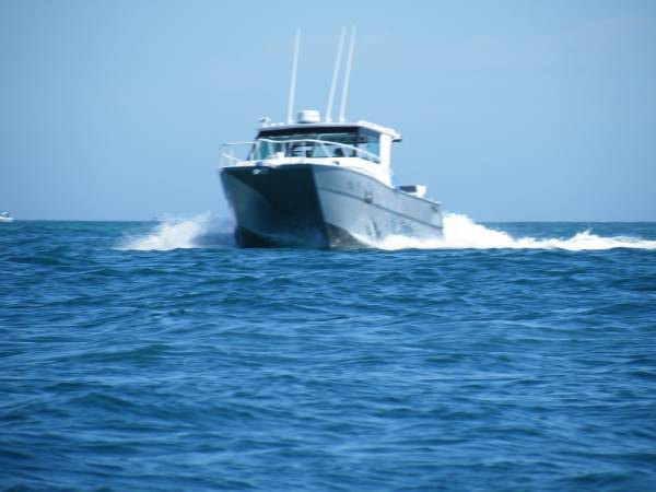 Preston Craft 7.6 Thundercat