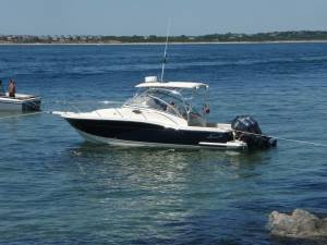 Scout 262 Abaco