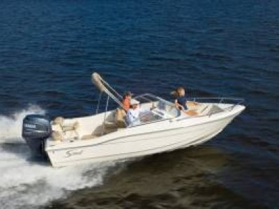 Scout 187 Dorado
