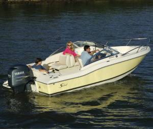 Scout 210 Dorado