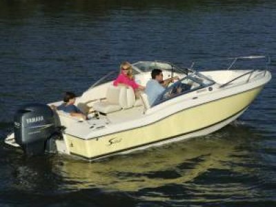 Scout 210 Dorado