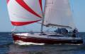 Delphia 37