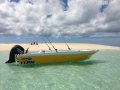 Hooker 6.0 Tiller Steer Series II