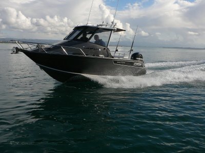 Surtees 5.8 Gamefisher