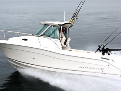 Seaswirl Striper 2601 Walk Around