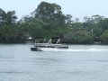 Misty Harbor Signature Series