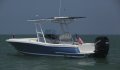 Chris Craft Catalina 26