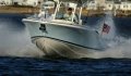 Chris Craft Catalina 29