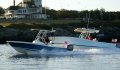 Chris Craft Catalina 29