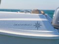 Jeanneau Cap Camarat 4.7cc